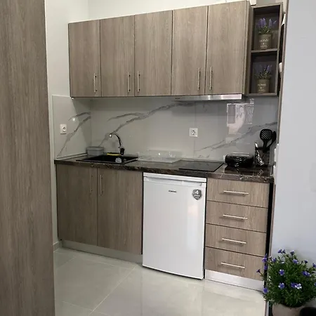 Anastasia Luxury Apartments Nea Moudania Dış mekan fotoğraf